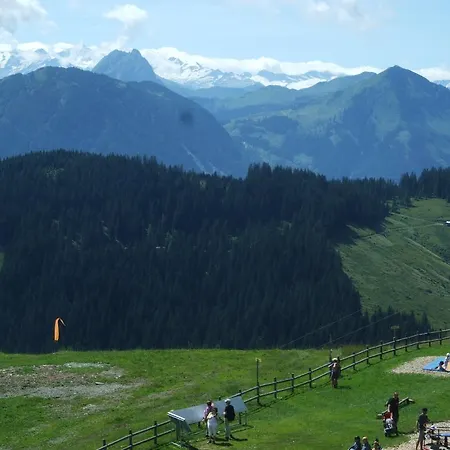 Austria 酒店 瑟尔